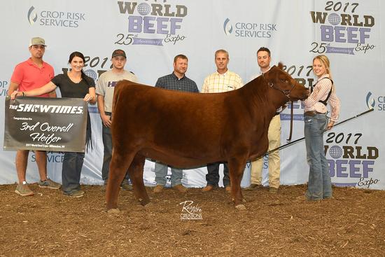 2017 JUNIOR SHOW THIRD PLACE HEIFER