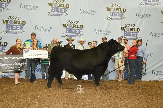 2017 Open Show Supreme Bull