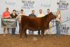 2017 JUNIOR SHOW THIRD PLACE HEIFER