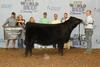 2017 JUNIOR SHOW FOURTH PLACE HEIFER